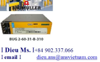 316025161-baumuller-reparaturwerk-vietnam.png